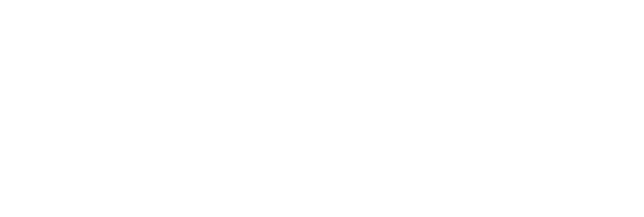 Google white logo